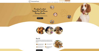 Web Design / Development