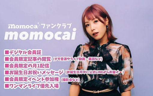 momocai.jpeg