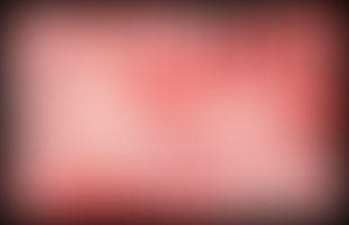 COUNCIL OF LIES AND COVERUPS AND UNACCEPTABLE RISK