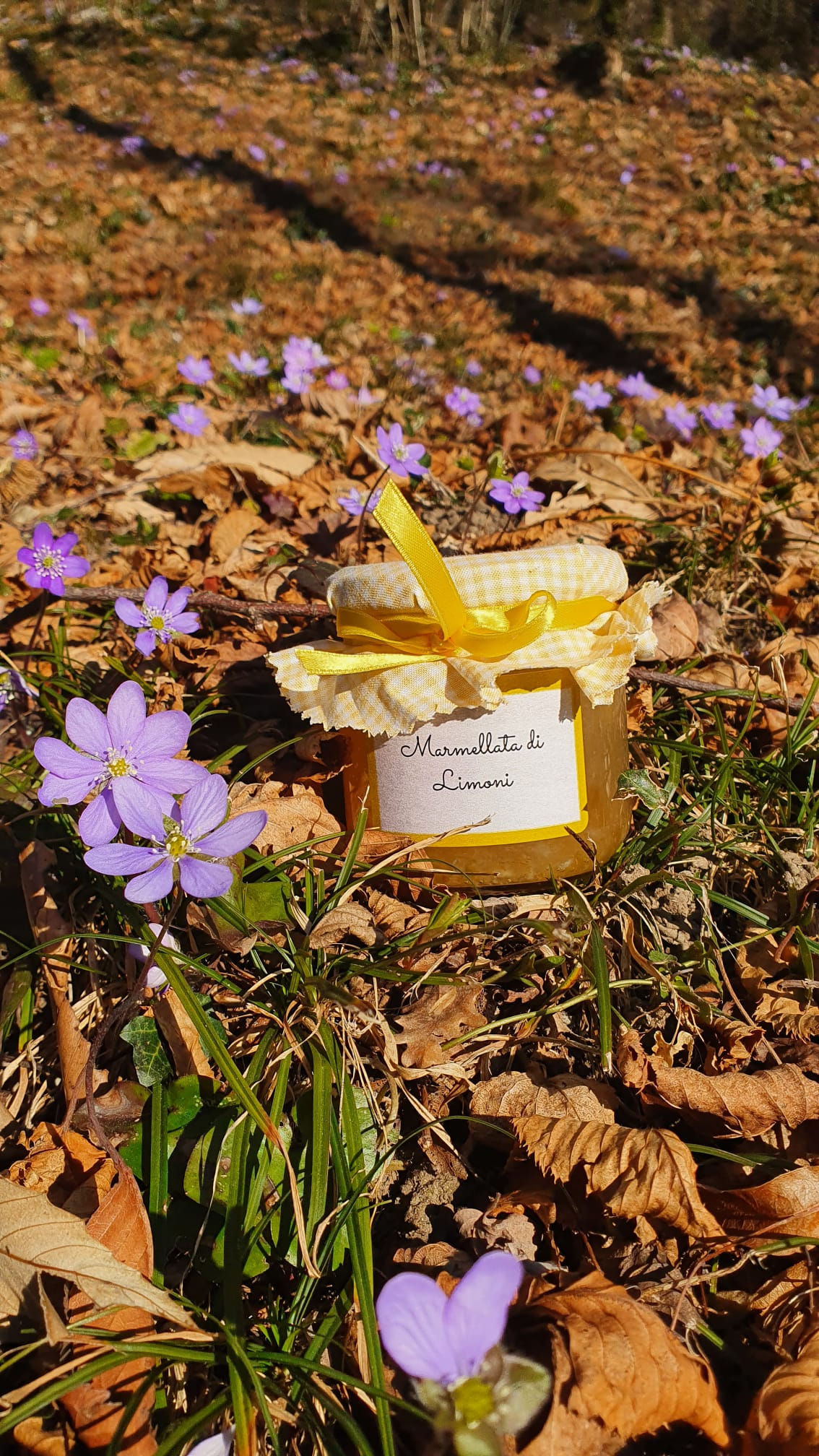 Marmellata di limoni biologici