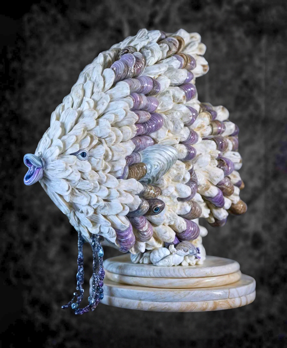Shelly - Purple Angelfish