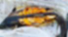 Whole Baked Salmon.JPG