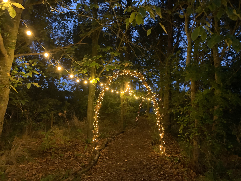 Festoon Lighting Norwich Epic Event Hire