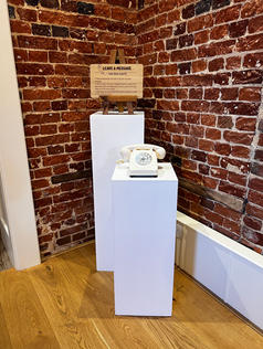 Audio phone on plinths at reymertson hall 