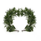 Ruscus Artificial Moongate (270x245cm)