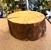 Thick Wooden Log Slice