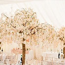 Blush Pink Blossom Fall 5ft Tree
