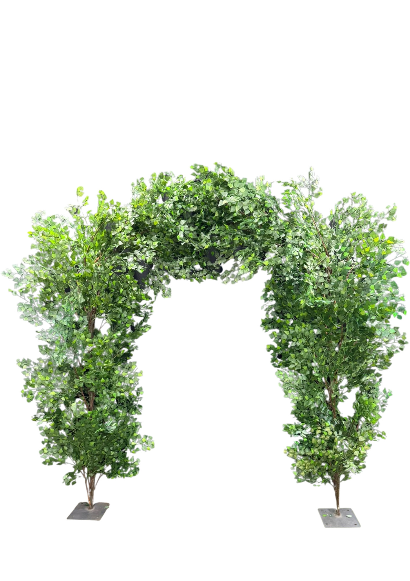 Birch Artificial Arch (310x270cm) | Bring the Outdoors In with this ...