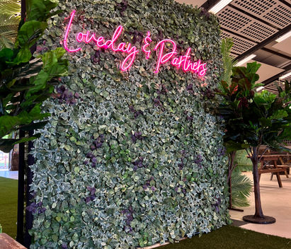 Traditional greenery flower wall hire for weddings, parties, and photoshoots
