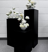 Black Plinths (Various Heights)