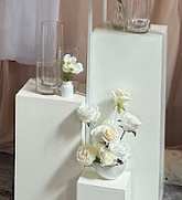 Varied Heights White Plinths