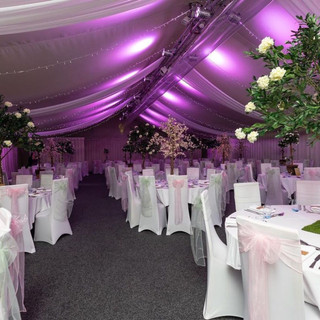 UEA Ball Decor.jpeg