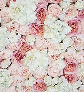 2.4m x 2.4m Ivory and Blush Flower Wall