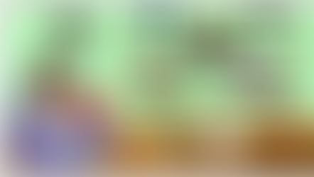 Let's learn about Rabbits - Virtual Teaching Resources.