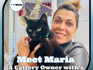 10: Meet Maria: A Cattery owner with a crazy (varied) career journey