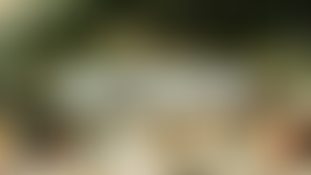 Getting Saved: Christ's Blood For Christ's Bride