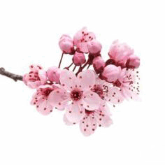 7e963261ef827e52c41d4e1533b4832e.gif