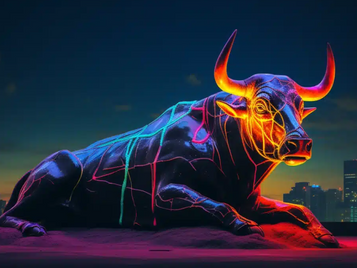 Boğa Piyasası Nedir?