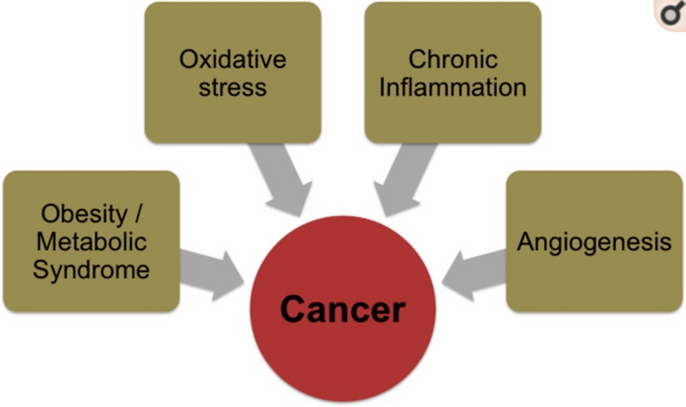 chronic inflammation and oxidative stress cause cancer