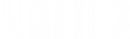 Valier logo_Menthe_edited_edited.png