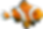 Clown Fish