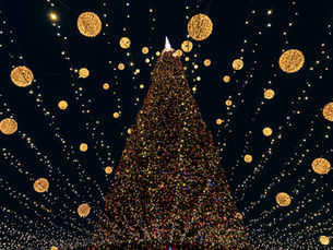 Christmas tree and lights display in the Highpeak