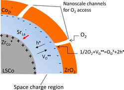 Multifunctionality of gas transport