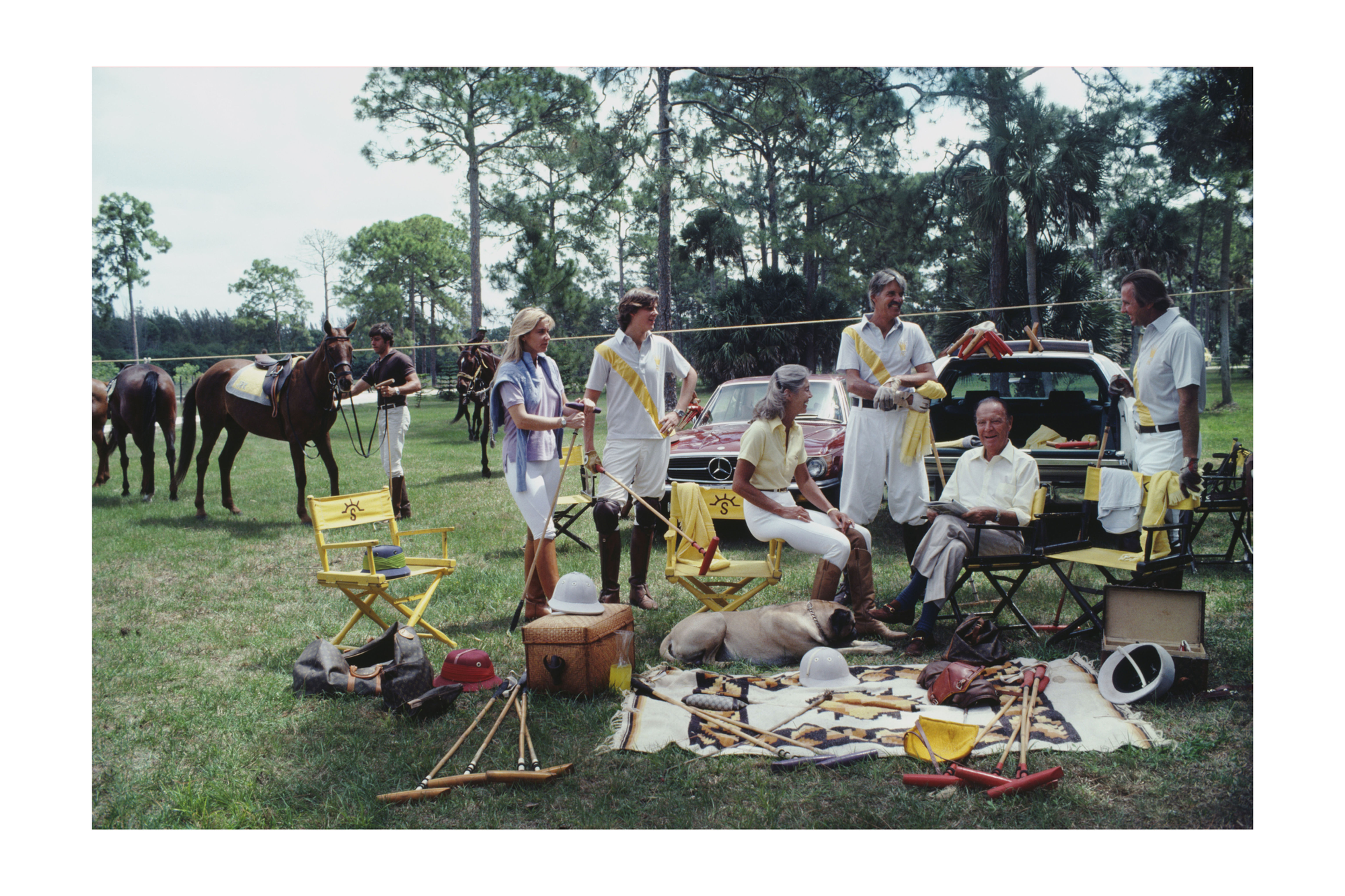 Canvas Wall Art- Polo Party