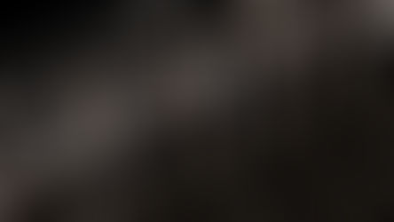 Comment: Open letter to G7 journalists