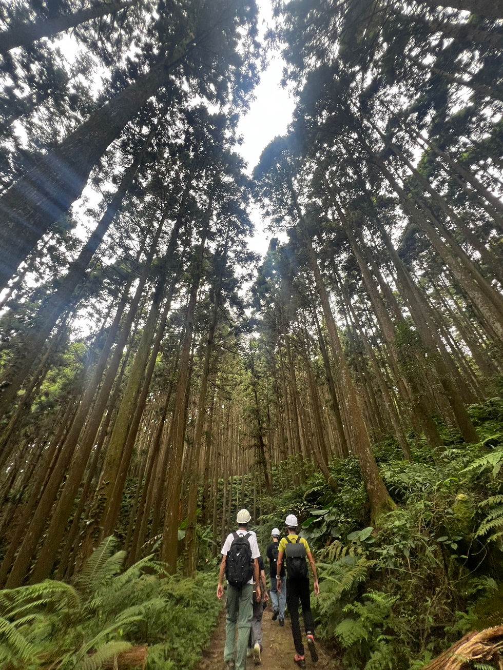 走進森林,重新理解永續林業:FSC 森林週「從林開始」