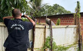 Combate à dengue: Prefeitura de Alagoinhas já notificou donos de 365 imóveis abandonados