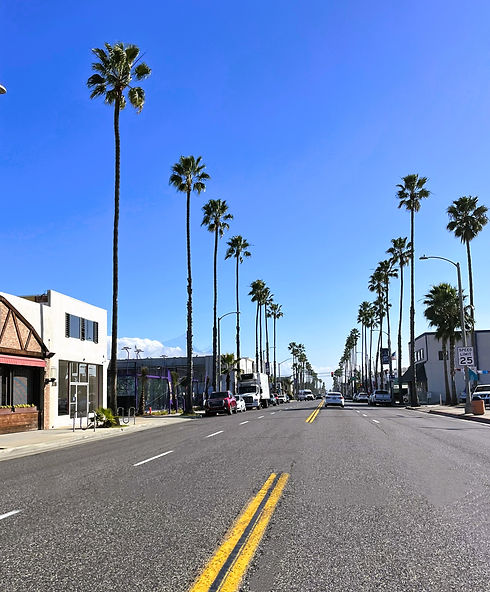 Coast Hwy 1-9-24.jpg