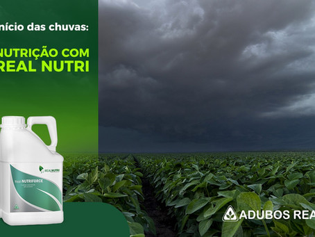 Como potencializar a nutrição para sua planta.