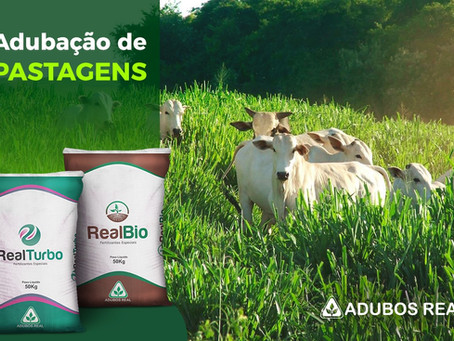 Como ter maior lucratividade com adubação de pastagens