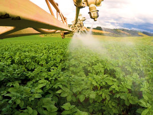 Nutrição foliar para altas produtividades