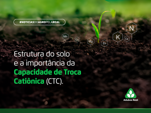 Estrutura do Solo e a Importância da Capacidade de Troca Catiônica (CTC)