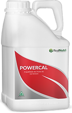 Powercal_04.png