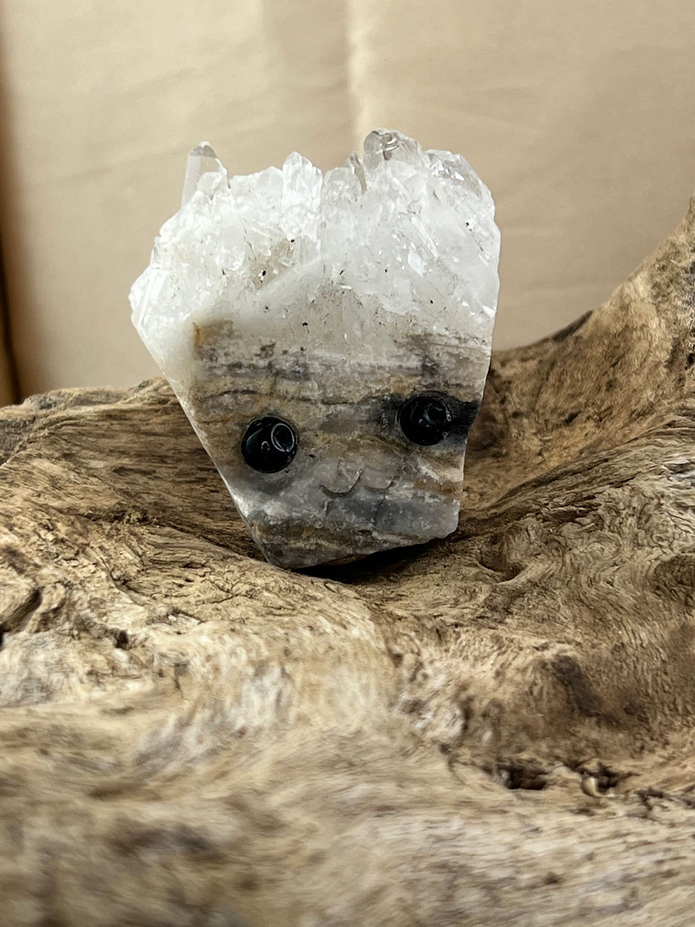 Thumbnail: Crystal Buddies