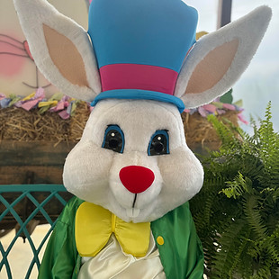 bunny2024.jpeg