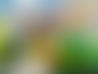 Let the Adventures Begin!✈️