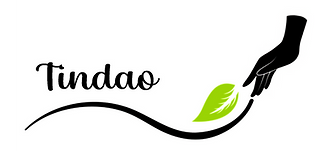 Logo TINDAO La courbe.png