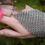 Thumbnail: Euro Triangle Chainmaille Necklace and Hand Flower