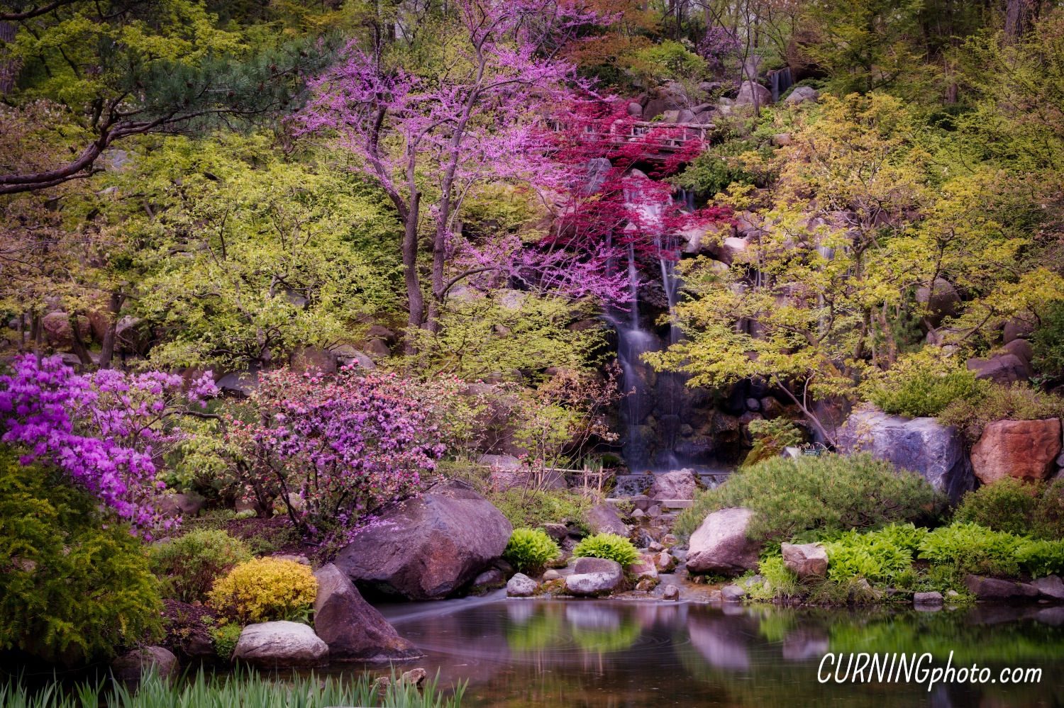 Japanese Garden (Rockford, Illinois)