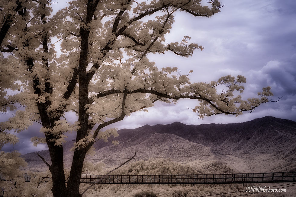 Infrared Bridge in Smoky Mountains 2 (Gatlinburg, Tennessee)