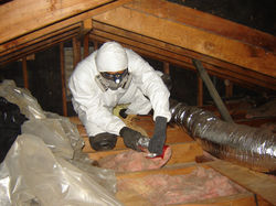 exceptional-attic-insulation-removal-attic-insulation-removal-2304-x-1728