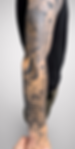 Ein Arm, der im japanischen Stil mit einem Schlangenmotiv tätowiert ist.