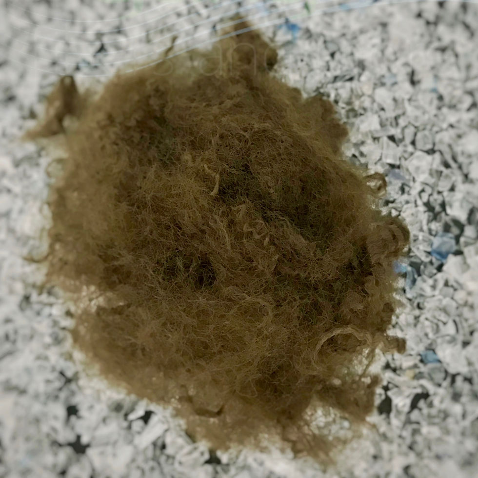 7D HS Brown recycled polyester staple fiber
