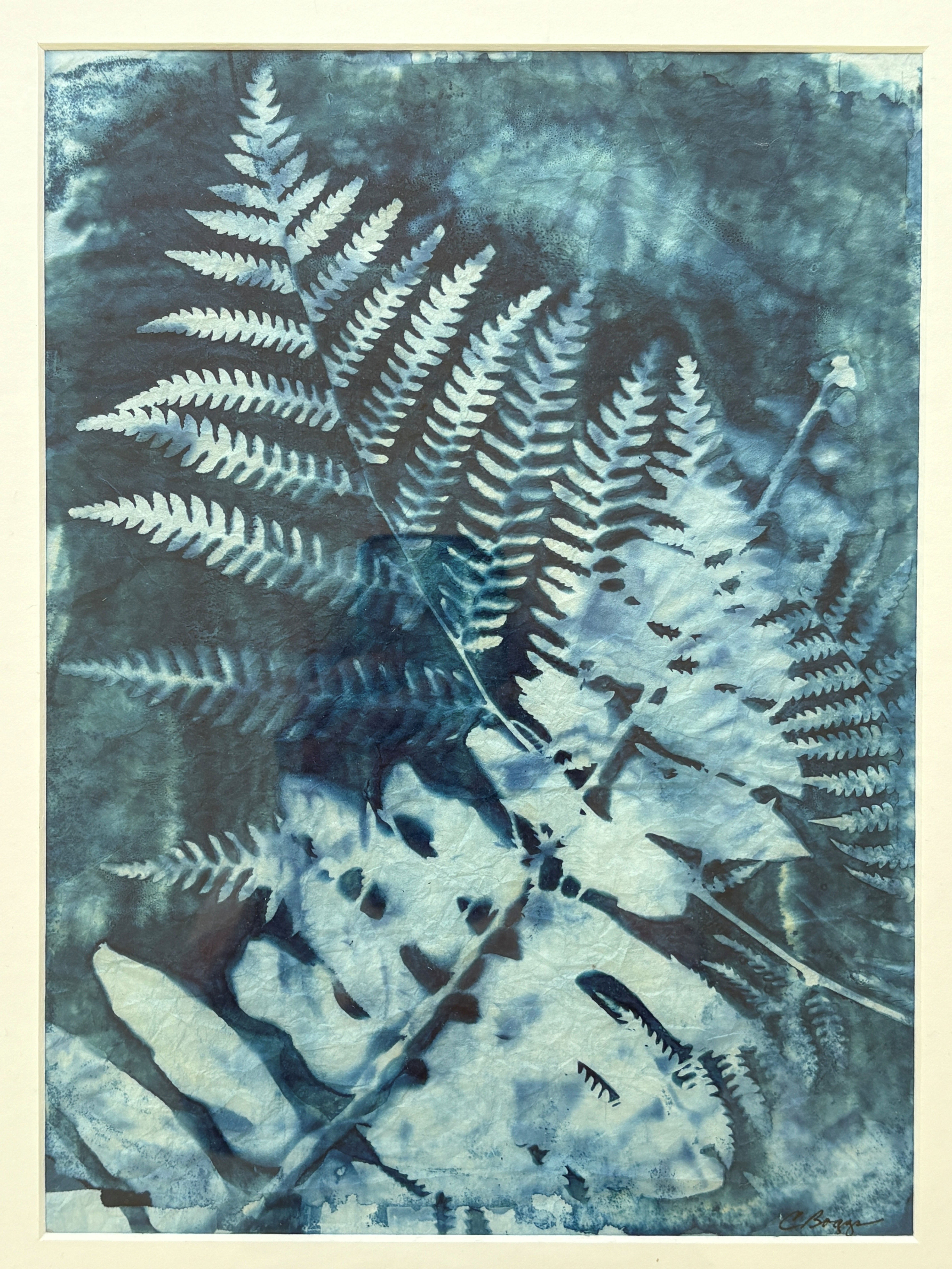 Cyanotype Printmaking