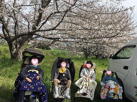 活動の様子