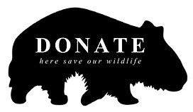 Etsy Item Listing Photo-2.png